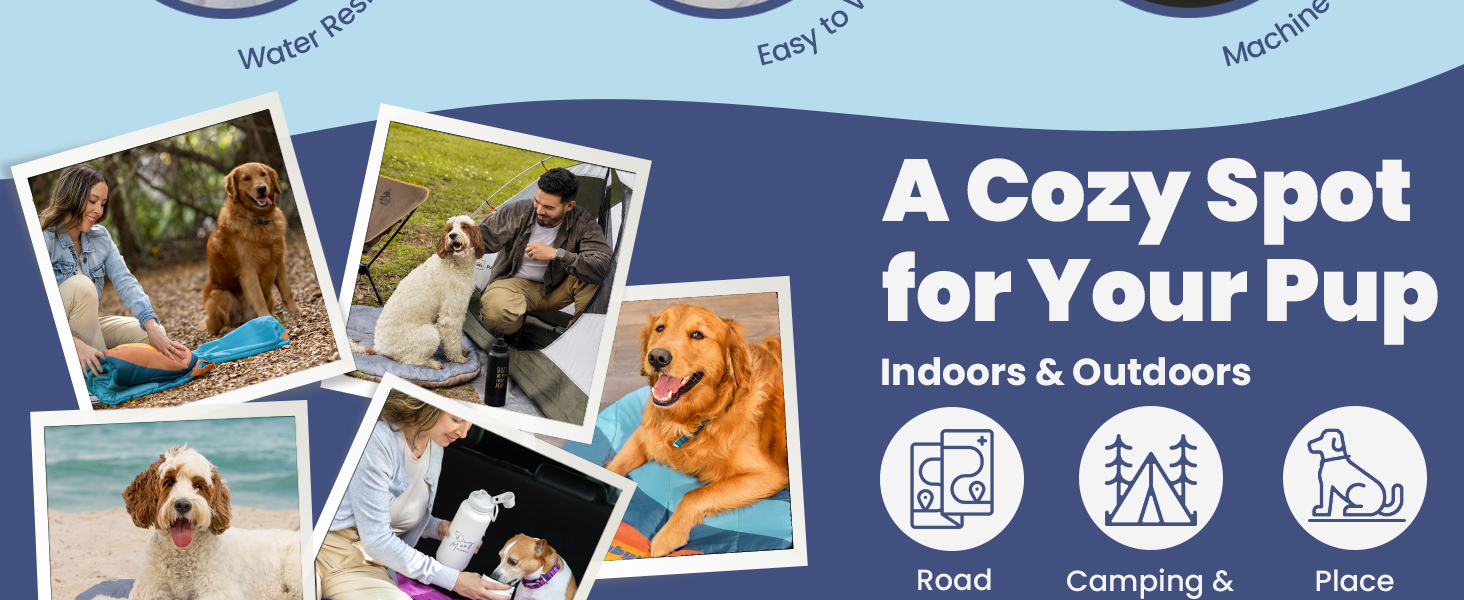 Dogs using roll up dog bed in car, tent, forest, and beach—ideal travel bed for dogs outdoors