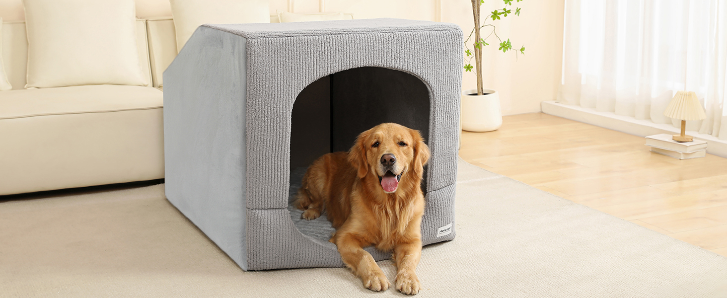 Dog House Indoor