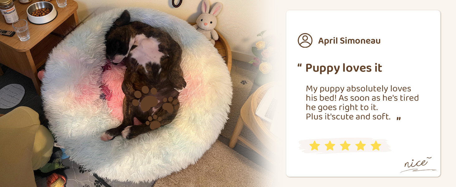 dog beds