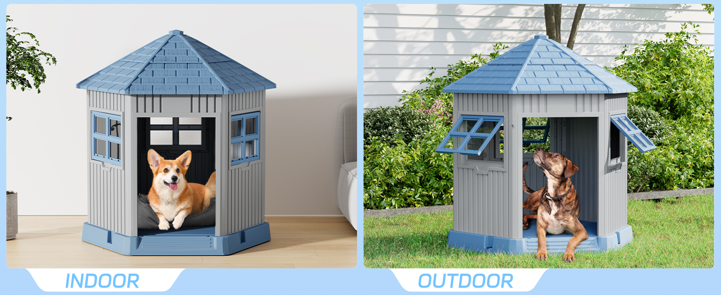 dog house