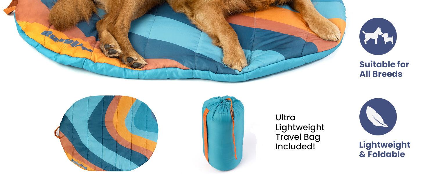 Golden retriever on foldable dog bed with compact roll-up travel bag and size details shown