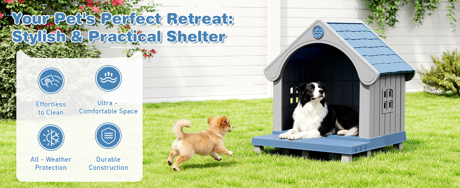 dog house