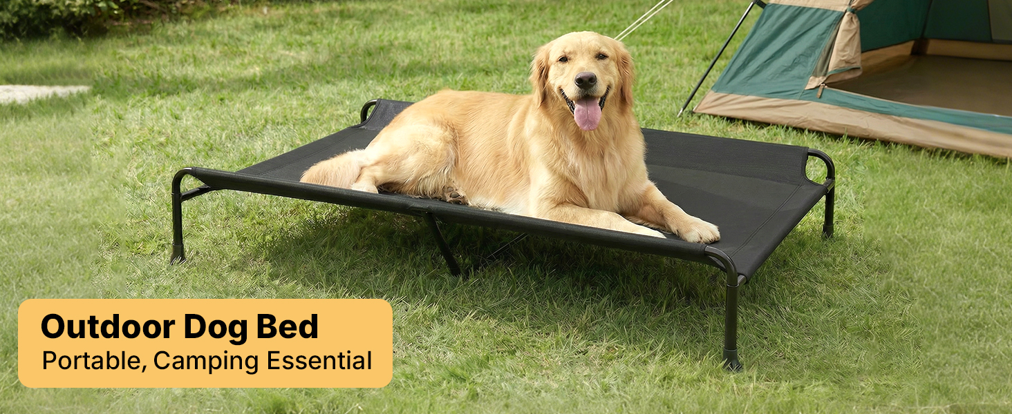 raised dog bed