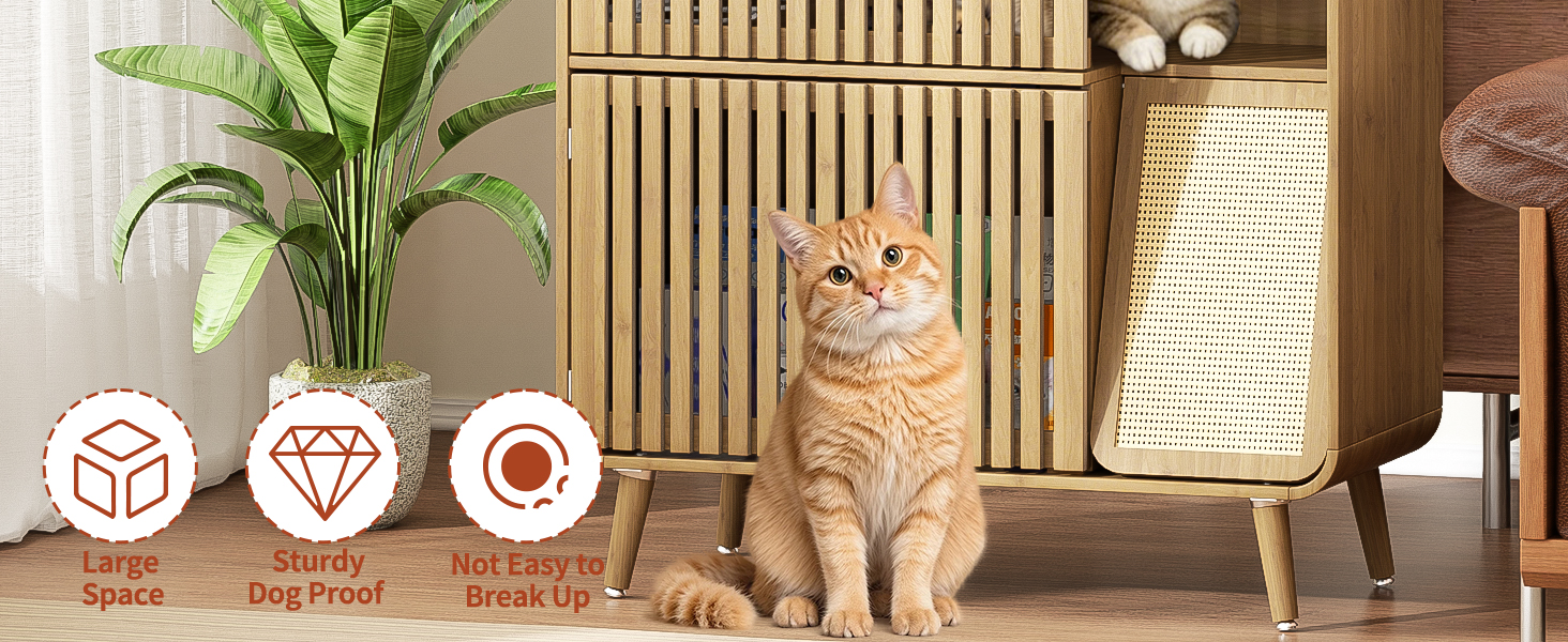 cat feeding station dog proof