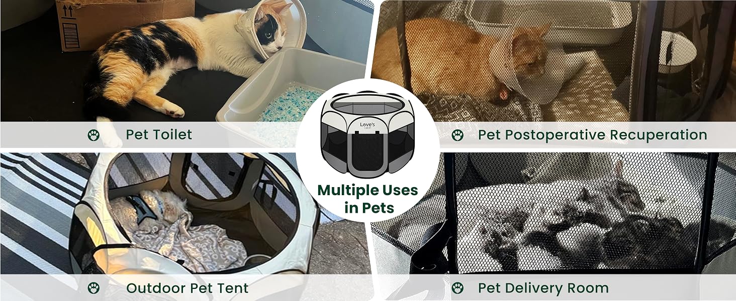 dog crate