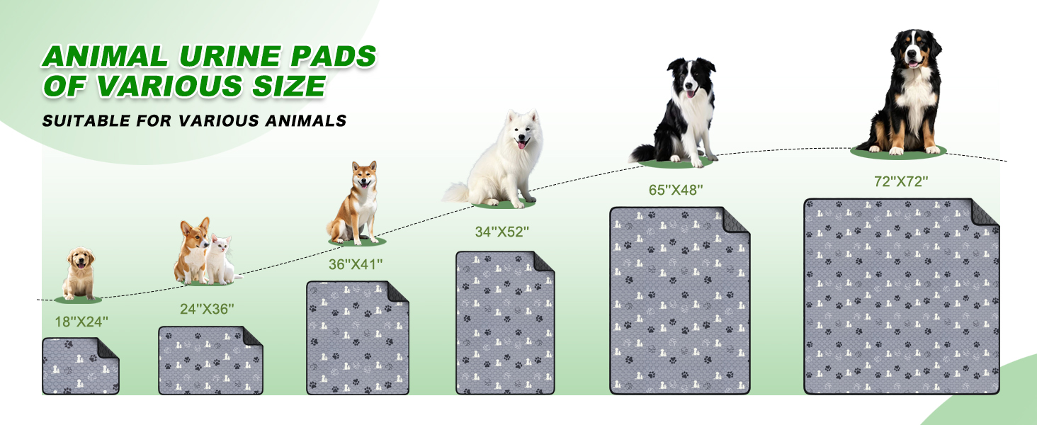 dog pee pads extra large