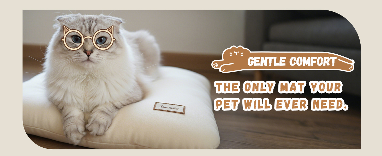 cat house dog house cat beds for indoor cats cat beds dog kennel cat house dog house