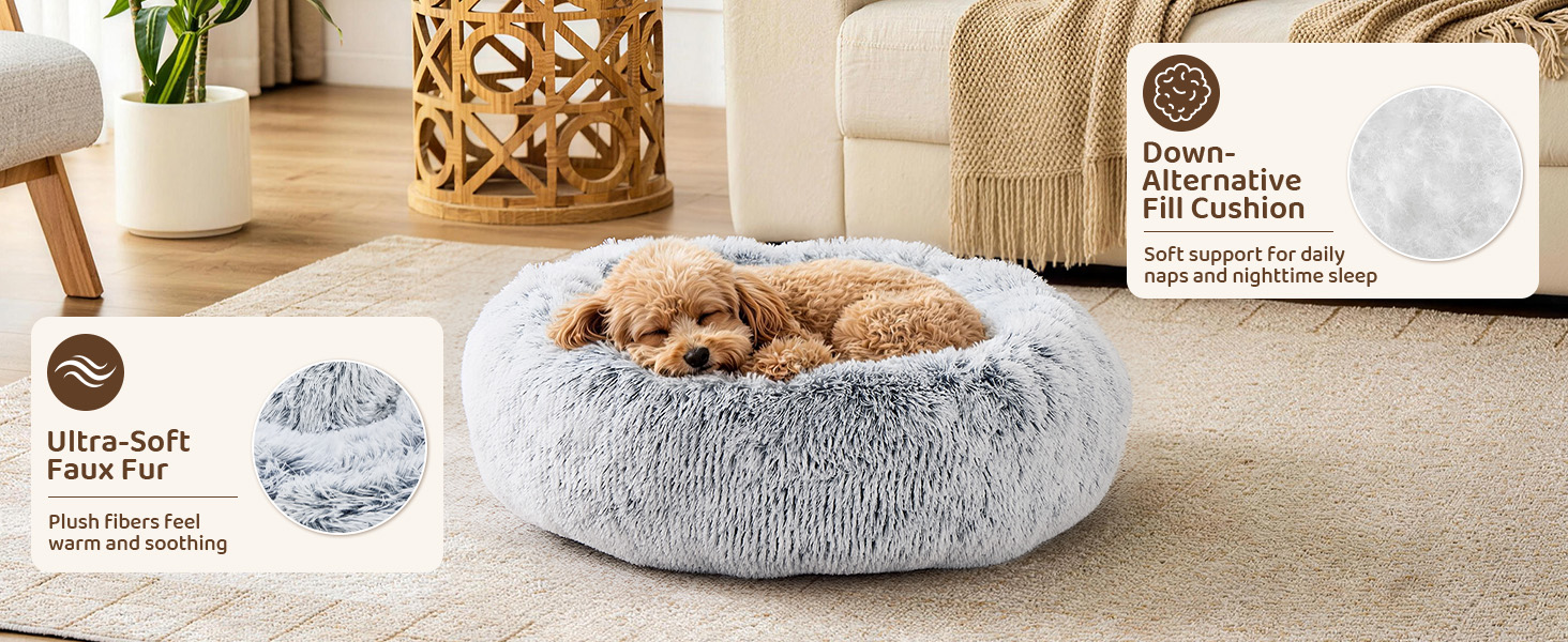 dog beds