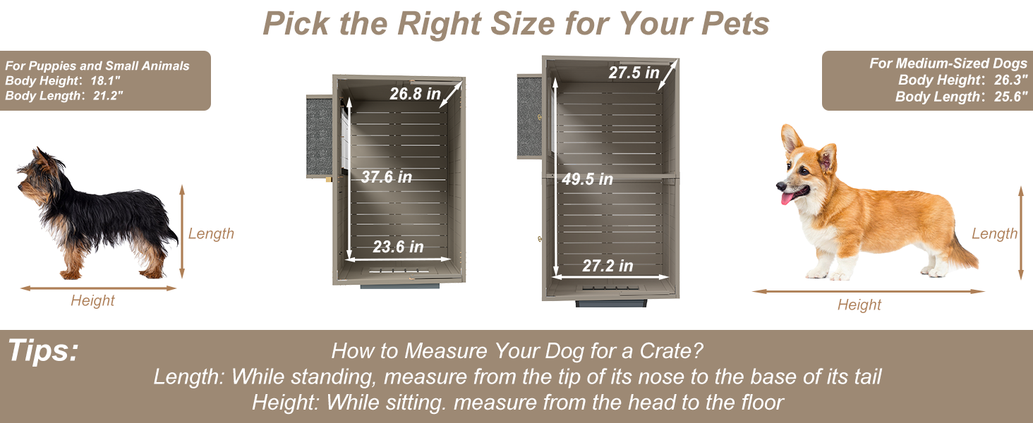 dog kennel outdoor