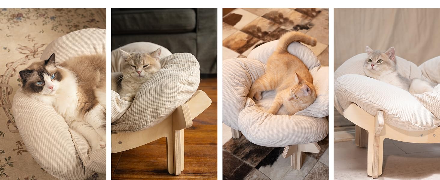 cat bed