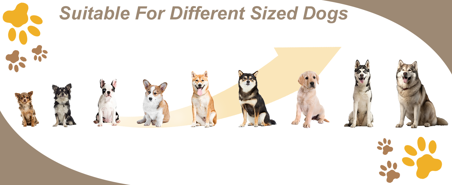 outdoor dog kennel