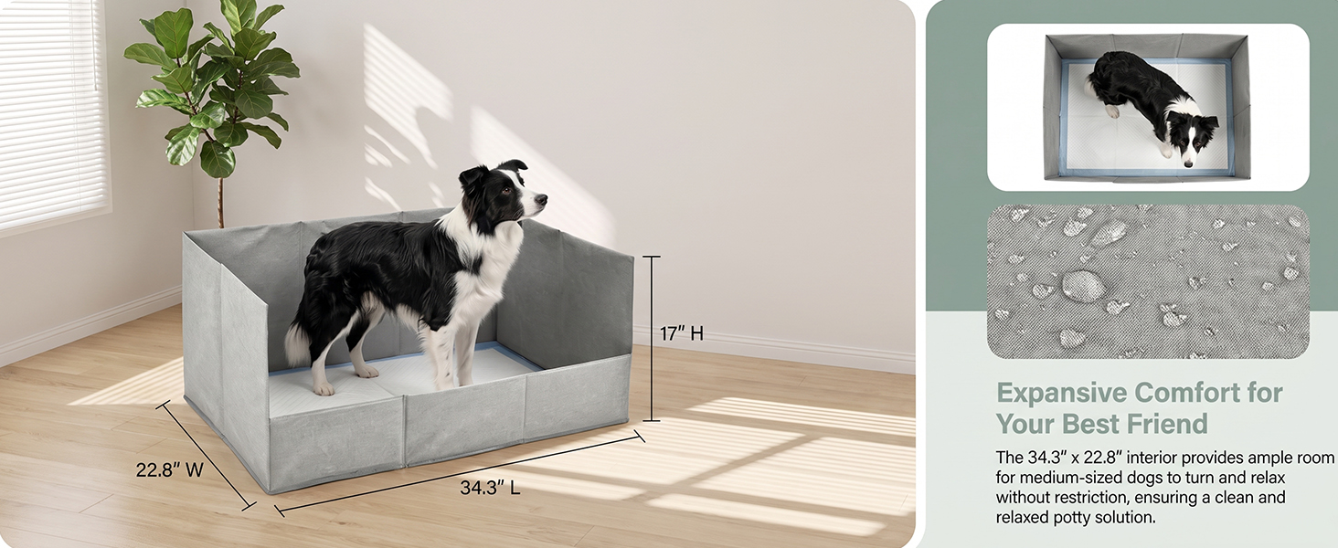 dog litter box indoor