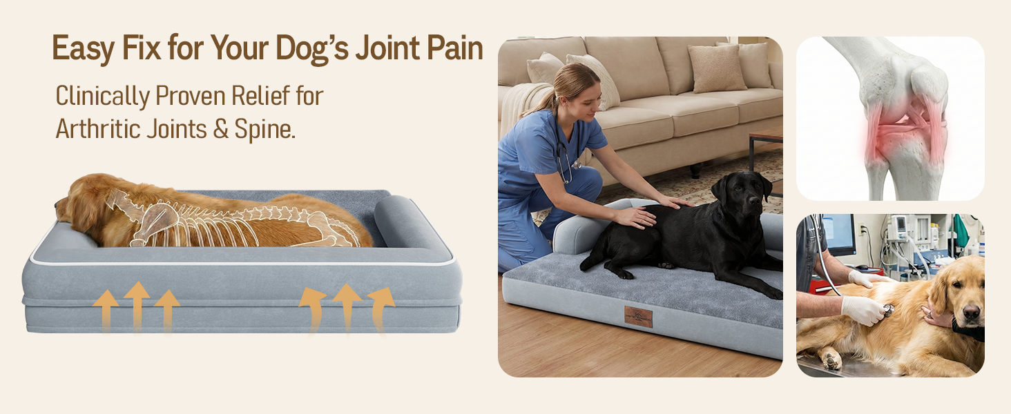 dog beds large sized dogs