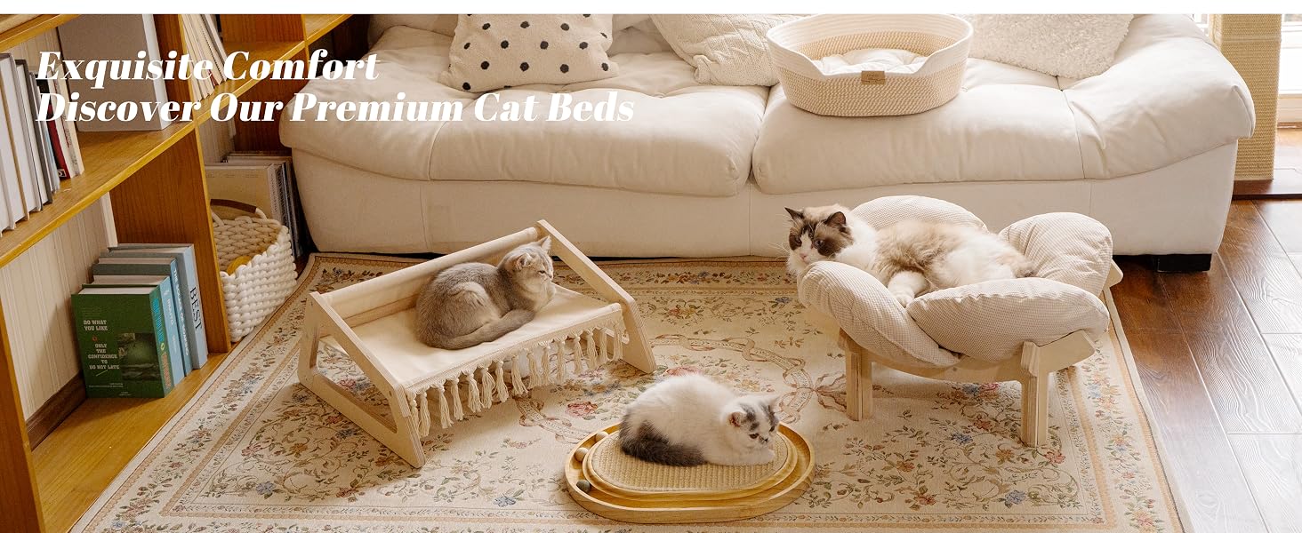 cat bed