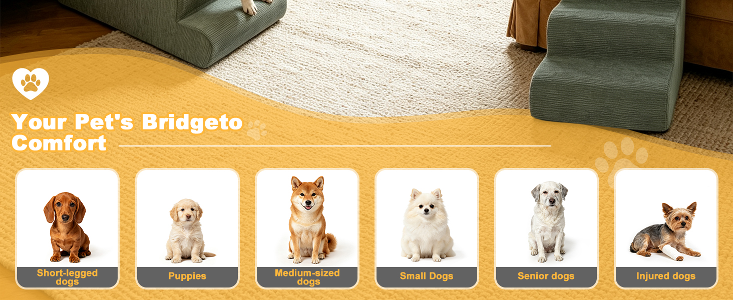 bed stairs for dog
