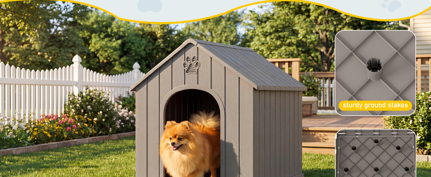 dog house