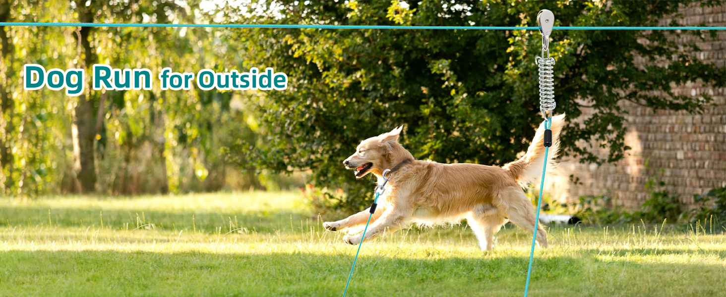 dog runner for outside