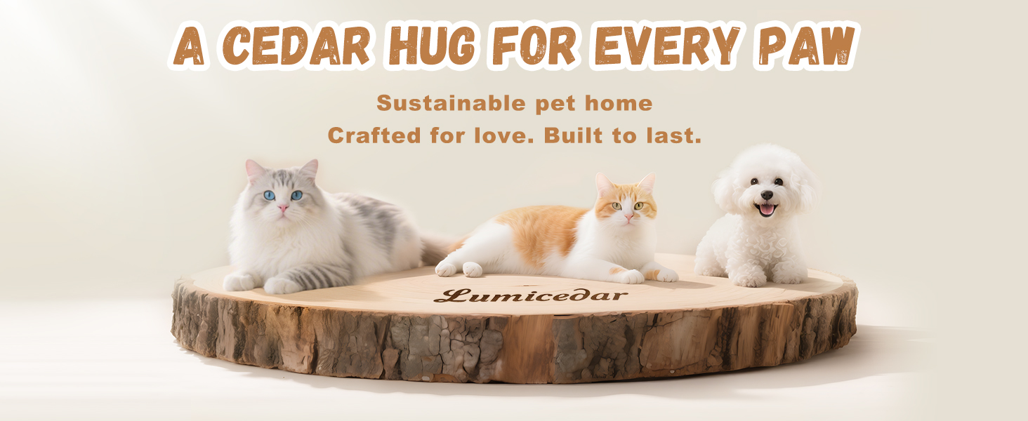 cat house dog house cat beds for indoor cats cat beds dog kennel cat house dog house