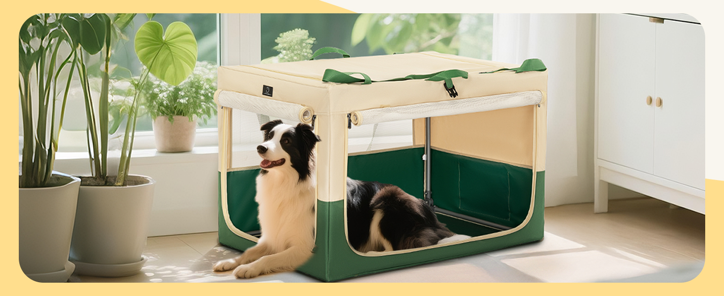 portable dog crate
