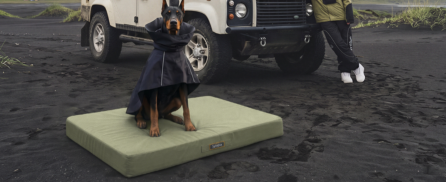 waterproof dog bed