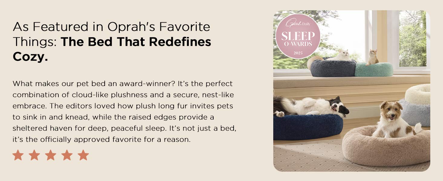 dog bed
