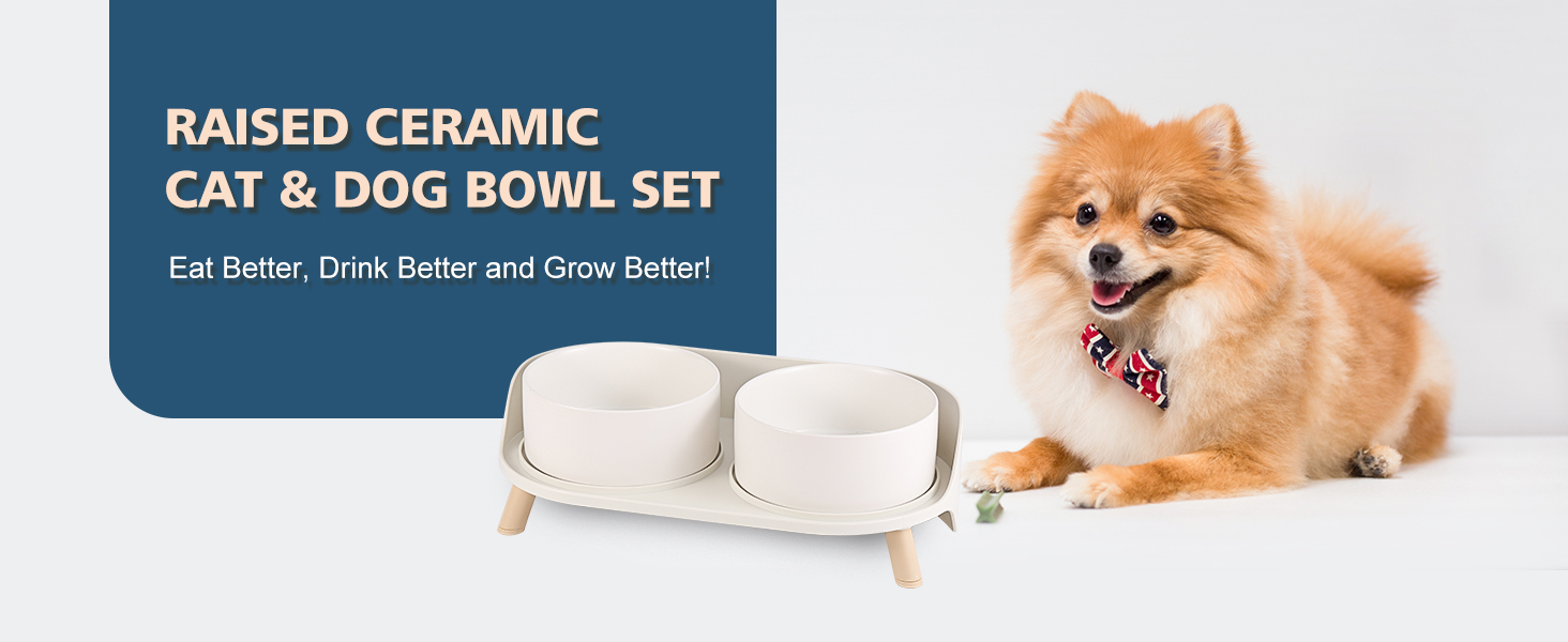 Elevated Dog Bowls