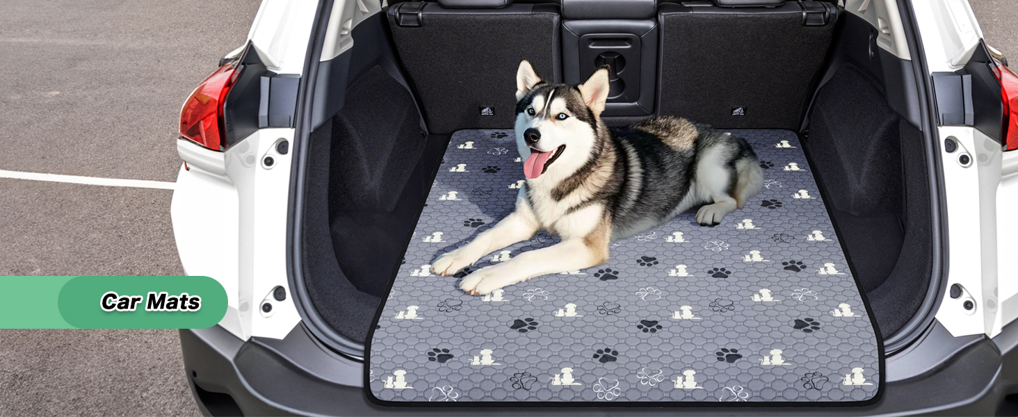 washable pee pads for dogs