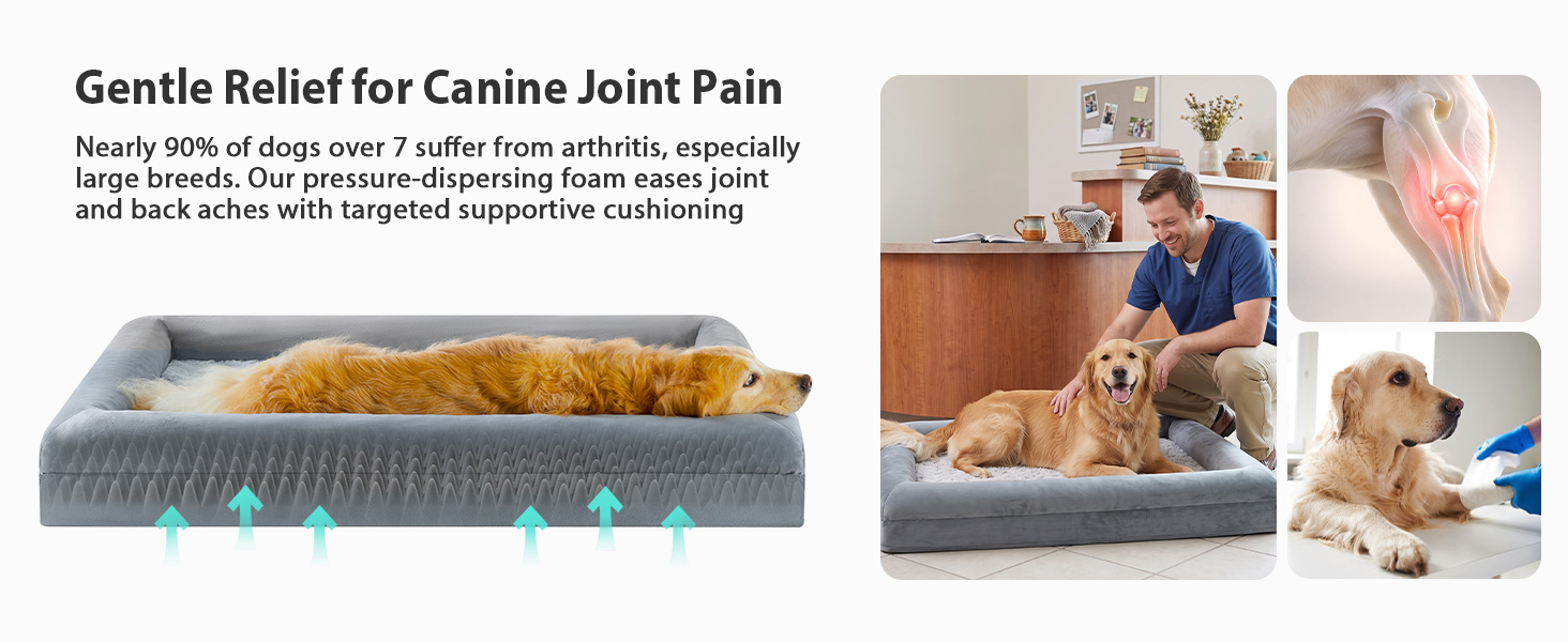 dog bed dog beds for large dogs xl dog bed