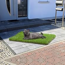 grass mat for pets