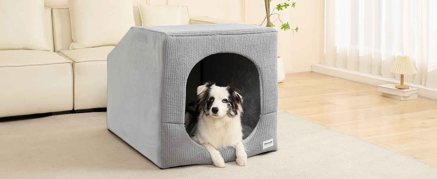 indoor dog house