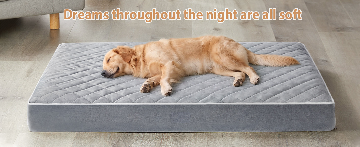 Dreams throughout the night are all soft