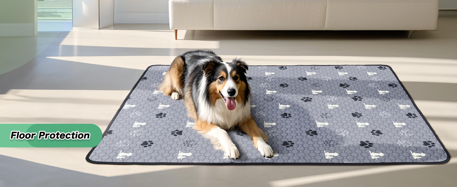 dog pads