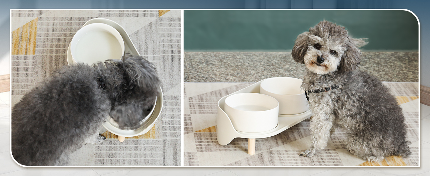 ceramic pet bowl