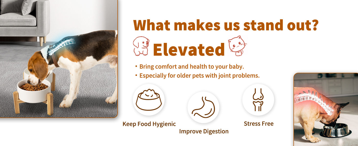The ergonomic pet bowl set offers your cat and dogs an ideal feeding position.