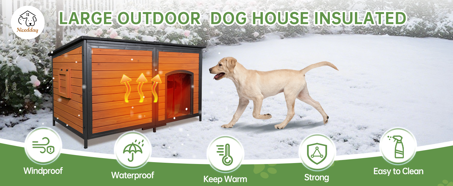 dog house