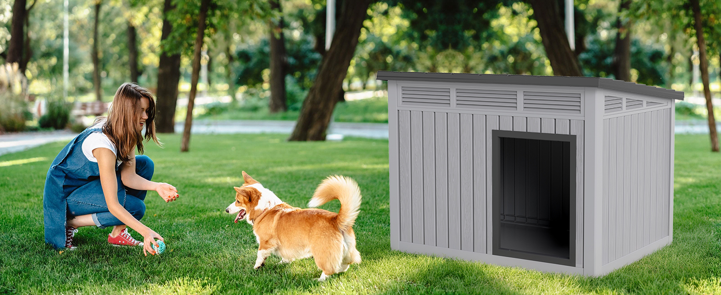dog house