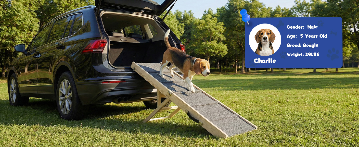 dog ramp for car