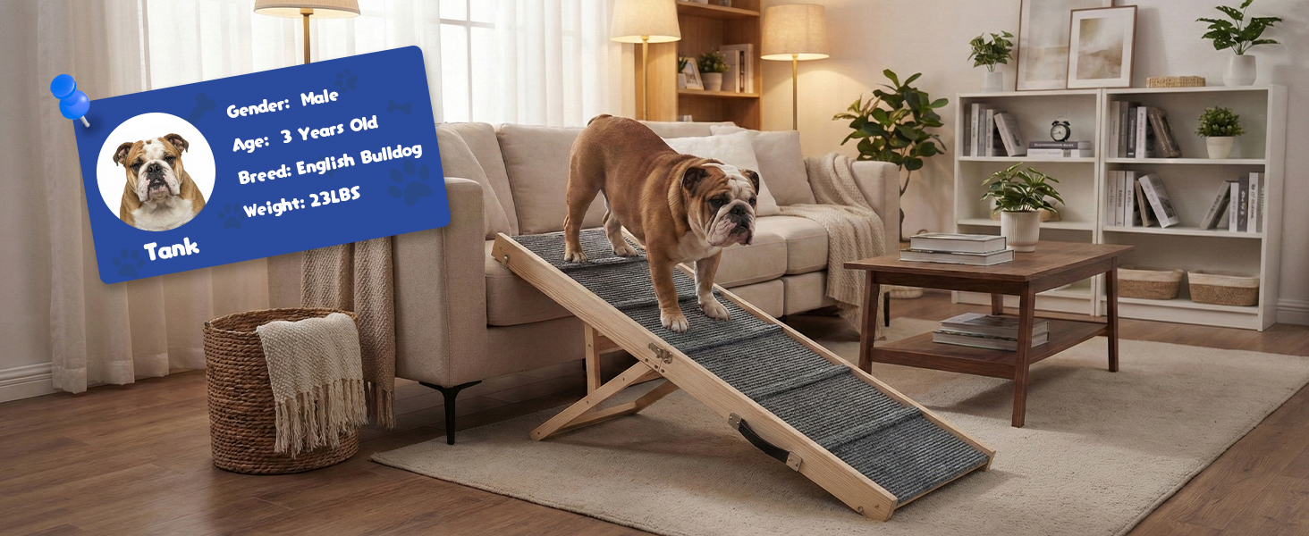 dog ramp for couch