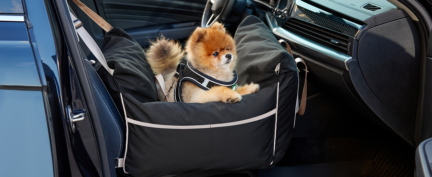 dog car seat