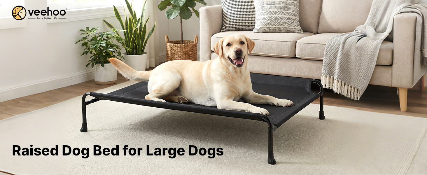 elevated dog bed