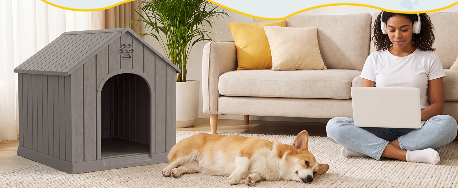 dog house