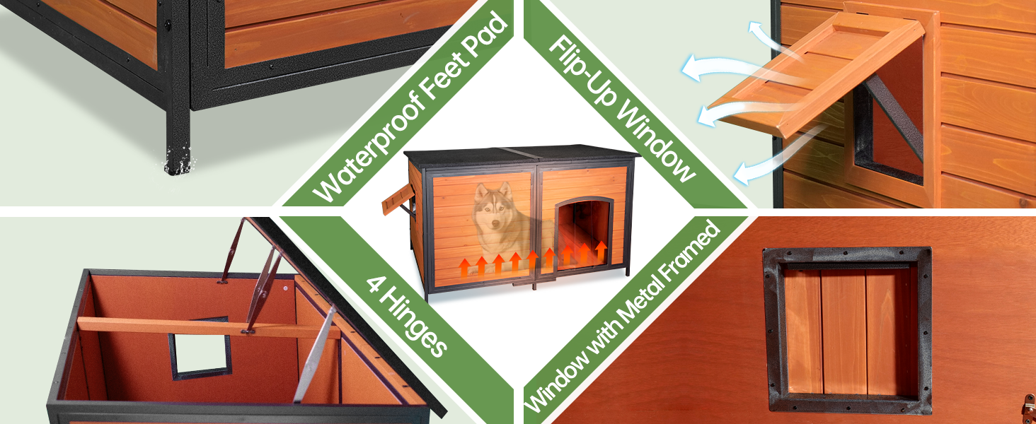 dog house