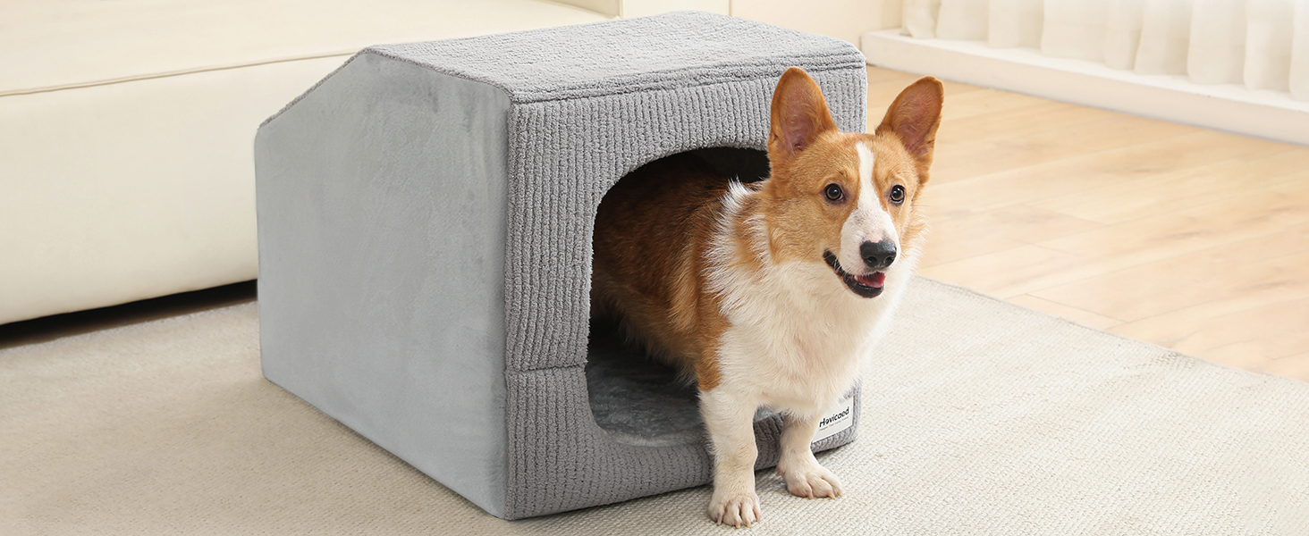 indoor dog house