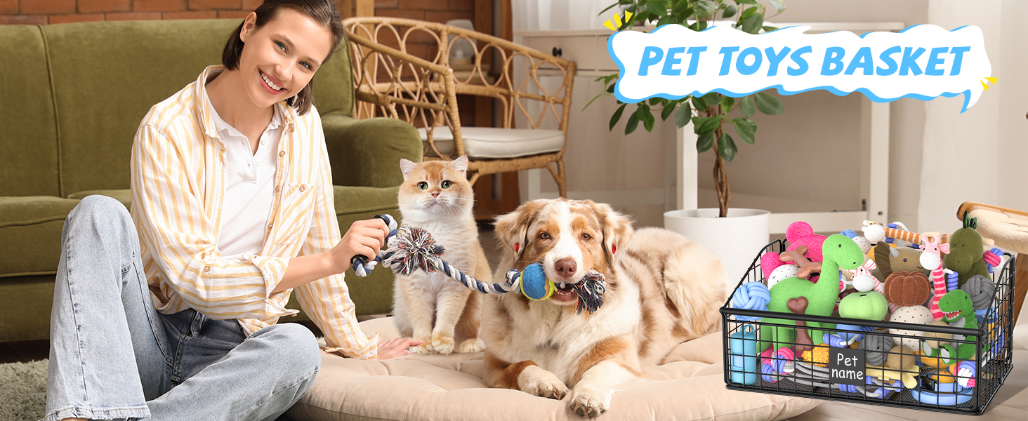 dog toy basket