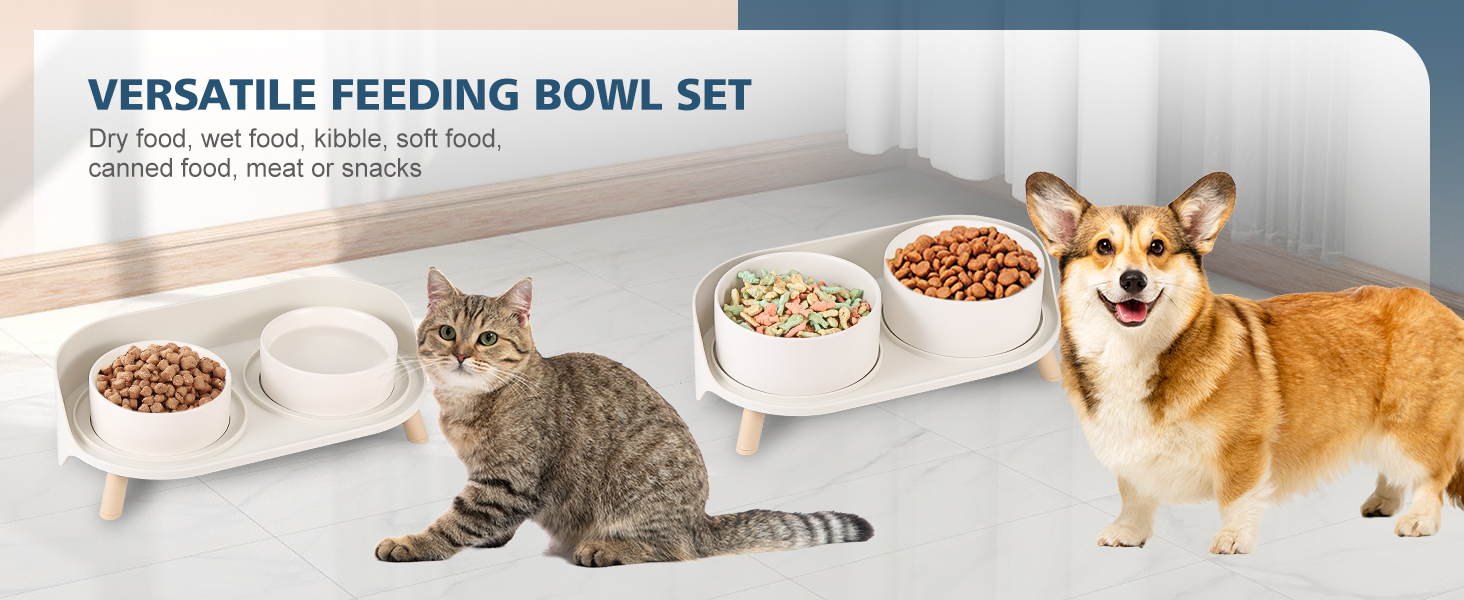 dog bowl