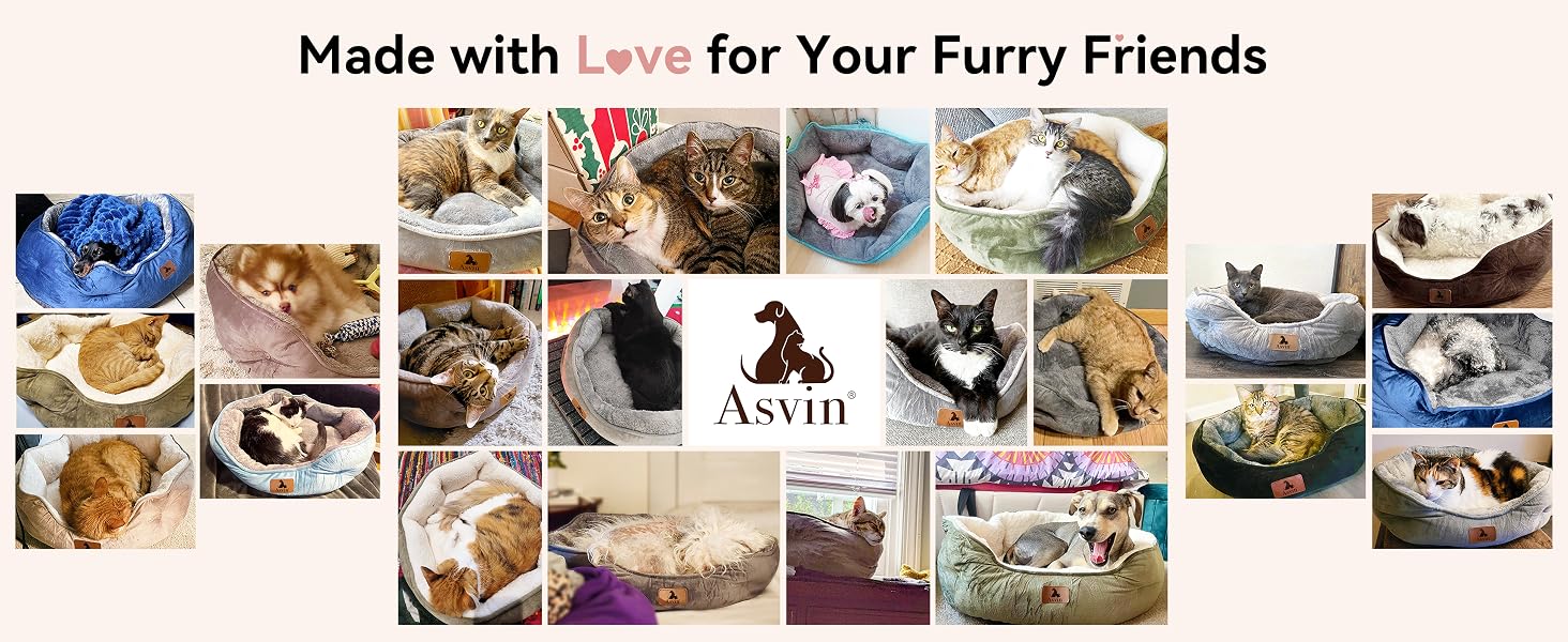 cute dog bed