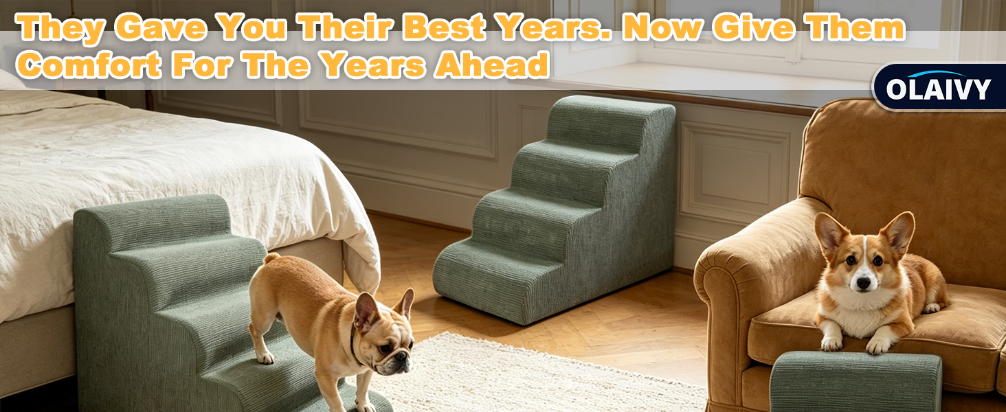 dog stairs for high bed