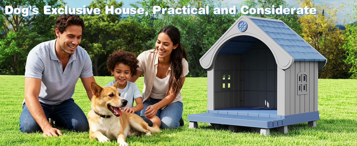 dog house