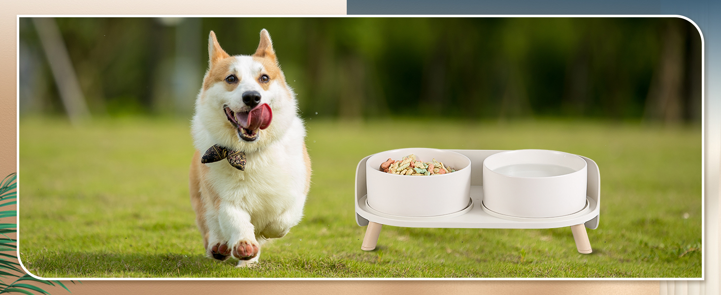 elevated pet feeding tray