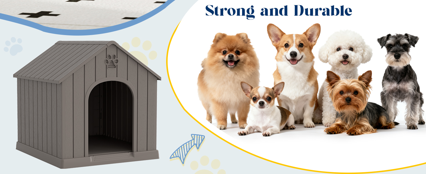 dog house